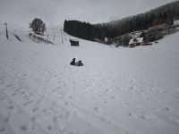 IMG_20241207_095915.jpg